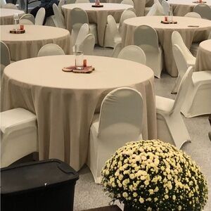 Elegant Beige Tablecloth for Home Dining